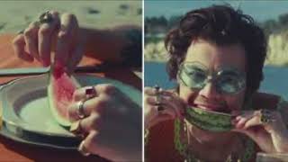 watermelon sugar music video [upl. by Naitsihc]