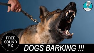 Angry DOG Bark amp Growl Sound Effects FREE DOWNLOAD  Sound Masters 🎶 [upl. by Anwaf]