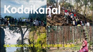 Kodaikanal one day trip planകൊടൈക്കനാൽ ഒരു ദിവസത്തെ യാത്ര പ്ലാൻ [upl. by Lowndes]