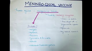 EVERYTHING ABOUT MENINGOCOCCAL VACCINE IN 8 MINUTES  DR ANSHUS MBBS LECTURES  PEDIATRICS [upl. by Farny]