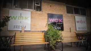 Wok in the Park Restaurant MN Fresh Asian Bistro [upl. by Erdda]