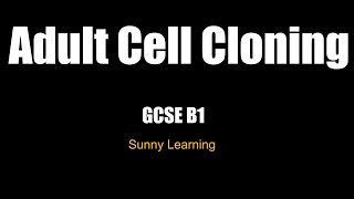 Adult Cell Cloning  AQA Biology [upl. by Soilissav]