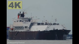 VENTURE GATOR  Shipspotting Germany 🇩🇪 IMO 9956599  River Elbe near City Otterndorf  4K VIDEO [upl. by Jemy]