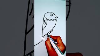 How to draw a tropical lorikeet bird howtodraw kidsdrawing shorts PalakEducationArts [upl. by Jonny]