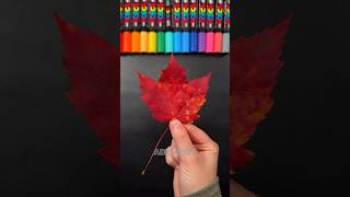 Drawing BUT on a LEAF with Posca Markers shorts [upl. by Eixor]