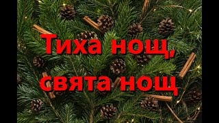 Тиха нощ свята нощ български  Silent Night  Инструментал за караоке Алтова флейта V5 BuAN [upl. by Nitsur474]