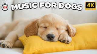 12 HOURS of Relaxing Music For Dogs💖🐶Anti Separation Anxiety Relief🐶💖Pet music🎵 Deep Sleep🐶 [upl. by Witt741]