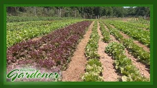 Biodynamic vs Organic Farming Practices  Volunteer Gardener [upl. by Wren]