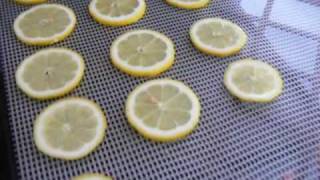 Dehydrated Lemons amp Oranges using my Excalibur food dehydrator wstephanie  efooddehydrator [upl. by Lennod]