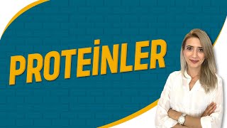 Proteinler  Seda Hoca Biyoloji  7 Ders  sedahocabiyoloji tyt2023 [upl. by Annaxor]