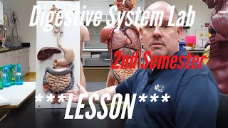 The Digestive System Lesson for AampP Lab 2nd Semester Anatomy and Physiology [upl. by Aifas]