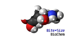 BiteSize Biochem Acetyl CoA and the TCA Cycle [upl. by Imnubulo518]