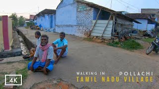 Walking in a village near Pollachi  Tamil Nadu Village Life  4K Walking tour in India [upl. by Ahsaetal]