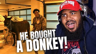 THEY TURNT YB BACK UP NBA YoungBoy  Act A Donkey Official Video CHARLAMAGNE DISS REACTION [upl. by Ahsinek]