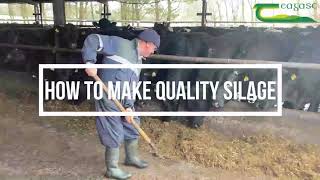 The 3 Ts of making good quality silage [upl. by Glassman480]