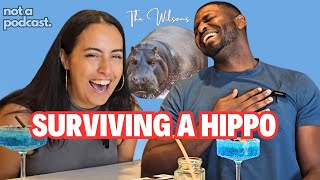 How to Survive a Hippo  Do Parents Have a Favourite  Not a Podcast with The Wilsons [upl. by Stubstad502]