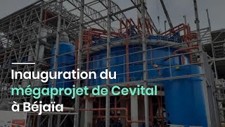 Inauguration du mégaprojet de Cevital à Béjaïa [upl. by Ranzini]