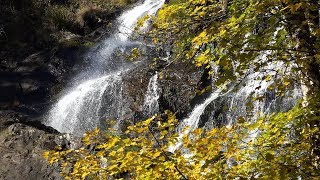 Der Todtnauer Wasserfall  The Todtnauer Waterfall Germany [upl. by Dickey]