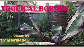 TROPICAL GARDEN BORDER TRANSFORMATION 🌴🌸tropicalgardening garden gardening transformation [upl. by Alohcin]