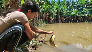 Pescando com Bóia Louca pro almoço na roça [upl. by Leanora]