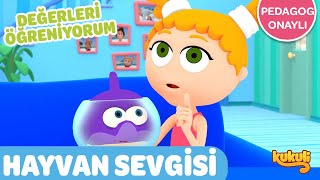 HAYVAN SEVGİSİ  Değerleri Öğreniyorum  Pedagog Onaylı Çizgi Film [upl. by Valente823]