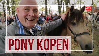 Pony kopen op de Zuidlaardermarkt  handjeklap paardenmarkt  RTV Noord [upl. by Jaela]