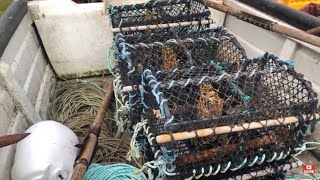 Hauling the crab and lobster pots drift netting for summer species Boat sea fishing Norfolk UK [upl. by Akieluz]