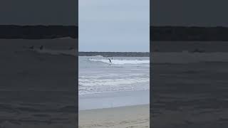 Seal Beach Jetty surf waves sealbeach [upl. by Eeneg928]