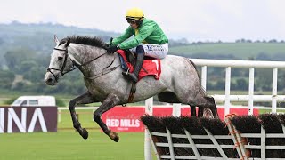 Another future star for Willie Mullins BELLOCCIO impresses on hurdling debut at Punchestown [upl. by Zipnick]