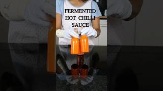 How to make Fermented Hot Chilli Sauce chilisauce [upl. by Emmalynne912]