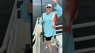 Ultimate Fishing in Biloxi Charter Fishing the Gulf biloxi [upl. by Immac]