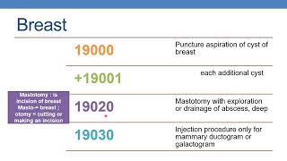 CPT CODING GUIDELINES FOR SURGERY INTEGUMENTARY SYSTEM PART 2A BREAST [upl. by Archibald762]