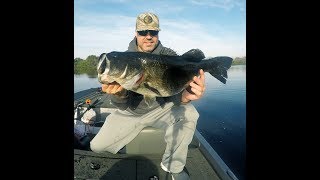 Savage Gear Line Thru Gizzard Shad Swimbait Big Bass [upl. by Nilde]