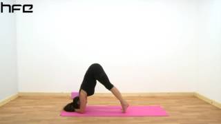 Yoga Poses  Makarasana Dolphin Pose [upl. by Venable]