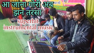 a jana gori ab jhan tarsa  instrumental music  sanjay panariya stage show  live stage program [upl. by Horwitz69]