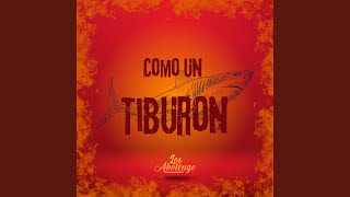 Como Un Tiburón [upl. by Iahc]