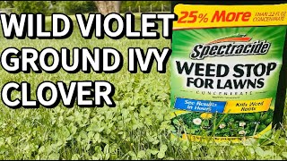 Spectracide Weed Stop for Lawns  Weed Killer Ground Ivy Wild Violet Clover [upl. by Ytirehc33]