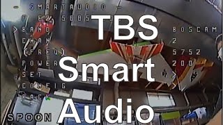 TBS Smart Audio Setup Betaflight OSD [upl. by Tisbe403]