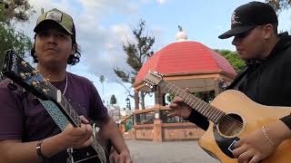 Toro encartadoAriel Camacho cover Estilo GyC [upl. by Montagu]