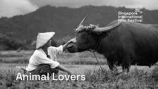 Animal Lovers Trailer  SGIFF 2024 [upl. by Horn]