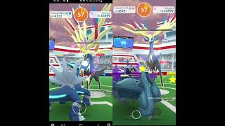 Xerneas Duo Raid Poison Weather Boost [upl. by Louella]