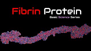 Fibrinogen  Fibrin 3D Structure  Function  Fibrinogen  Blood Proteins  Basic Science Series [upl. by Aundrea484]