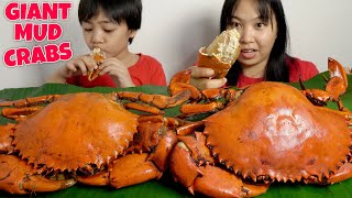 EATING GIANT MUD CRABS  Super Yummy [upl. by Lehpar170]