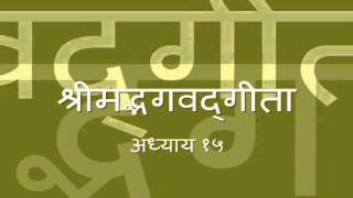 Bhagavad Gita  Chapter 15 Complete Hindi translation [upl. by Malkin30]