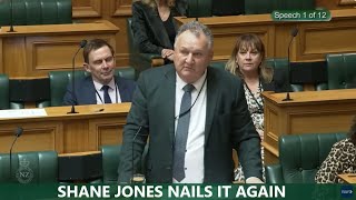 Shane Jones nails it again in respect to New Zealands energy [upl. by Anairdna]