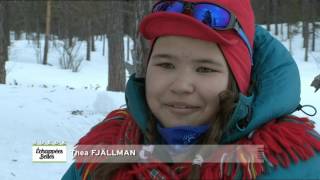 Suède Le royaume des neiges  Échappées belles [upl. by Mann]