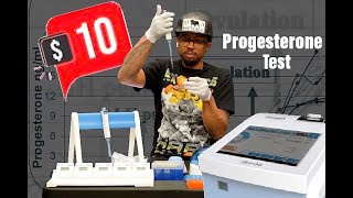 Wondfo FineCare Vet Progesterone Machine  How To Run At Home Progesterone Test For Dogs [upl. by Schenck]