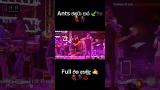 වස්තිලාට Ants දුන්නු ජහුටාපාර 🕺🍃🐜 Shorts [upl. by Ailisab904]