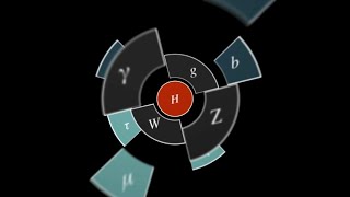 How Symmetry Shapes Nature’s Laws [upl. by Faxon557]