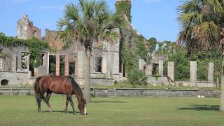 Cumberland Island  The Coolest Stuff on the Planet [upl. by Retrak]